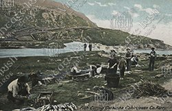 CAHERCIVEEN