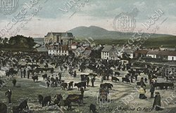 CAHERCIVEEN