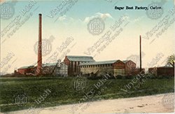 CARLOW-Sugar Beet Factory