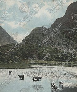 GAP-OF-DUNLOE