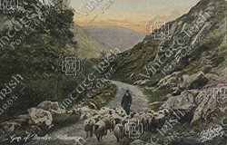 GAP-OF-DUNLOE