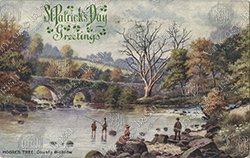 IRELAND-GENERAL