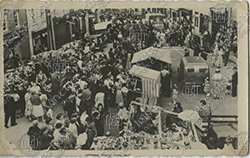 KILLORGLIN-PUCK-FAIR