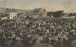 KILLORGLIN-PUCK-FAIR