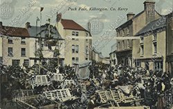 KILLORGLIN-PUCK-FAIR