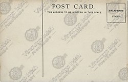 LADIES-VIEW - Image 2