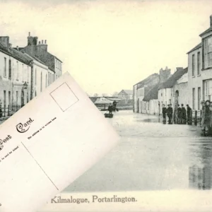 Laois