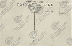 MUCKROSS-ABBEY - Image 2