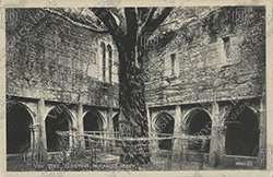 MUCKROSS-ABBEY