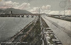 TRALEE