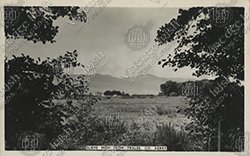 TRALEE