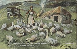 FARM-LIFE