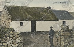 FARM-LIFE