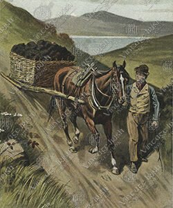 HORSE-CART