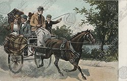 HORSE-CART
