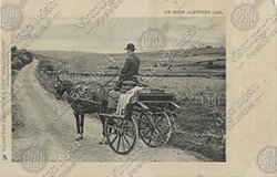 HORSE-CART