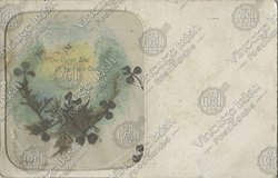 IRELAND-GENERAL